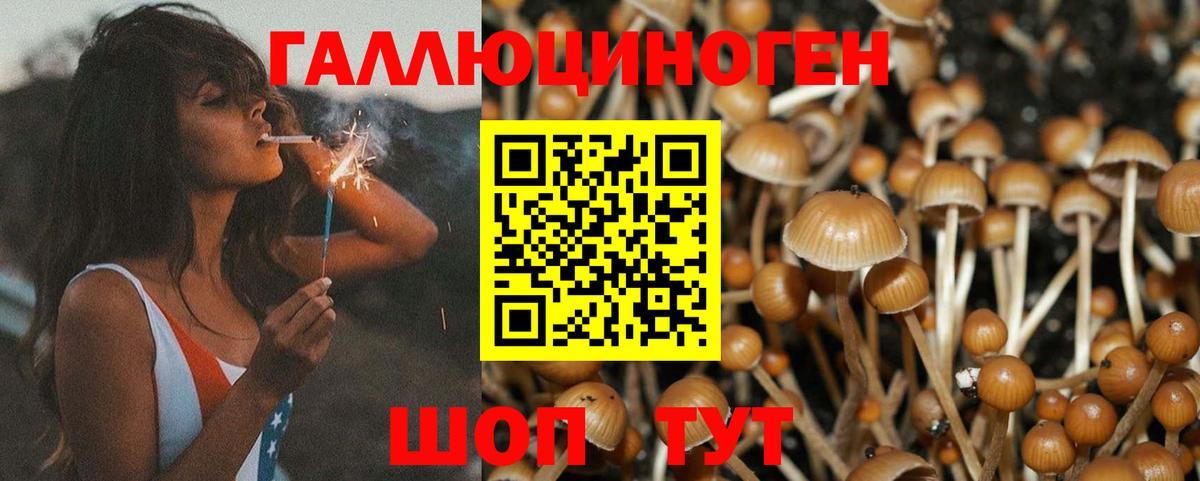 Галлюциногенные грибы MAGIC MUSHROOMS Апрелевка